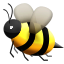 honeybee
